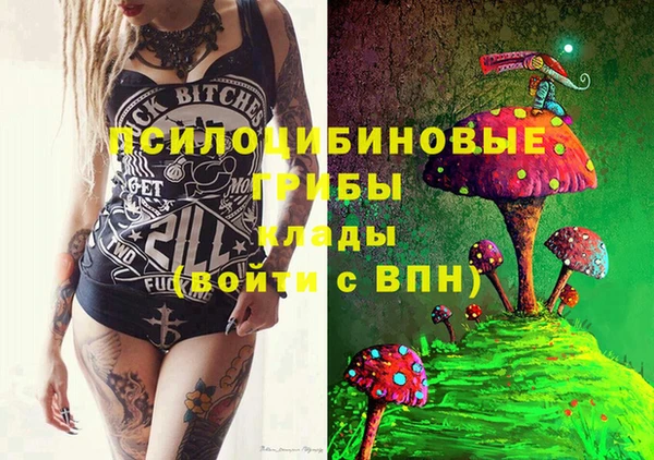 шишки Няндома