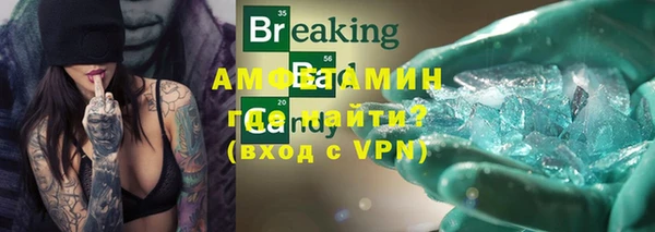 шишки Няндома