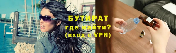 шишки Няндома