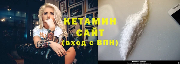 шишки Няндома