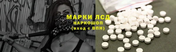 шишки Няндома