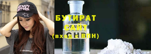 шишки Няндома