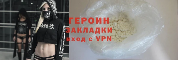 шишки Няндома
