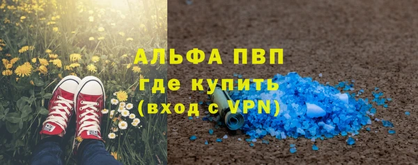 шишки Няндома