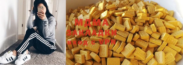 шишки Няндома
