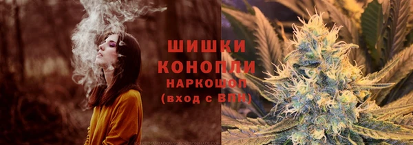 шишки Няндома