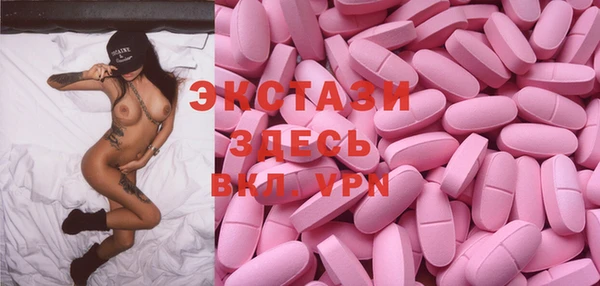 шишки Няндома