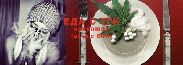 шишки Няндома